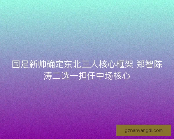 国足新帅确定东北三人核心框架 郑智陈涛二选一担任中场核心