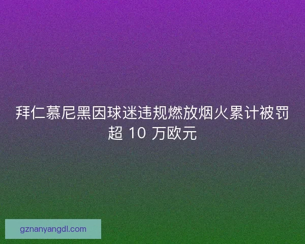 拜仁慕尼黑因球迷违规燃放烟火累计被罚超 10 万欧元