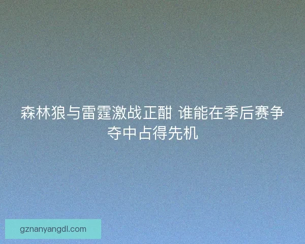 森林狼与雷霆激战正酣 谁能在季后赛争夺中占得先机