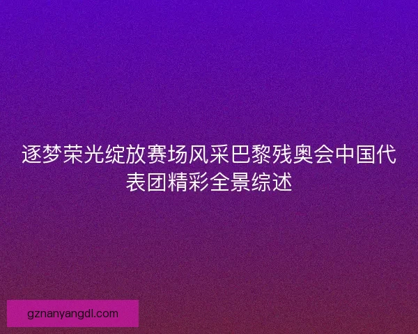 逐梦荣光绽放赛场风采巴黎残奥会中国代表团精彩全景综述 逐梦荣光绽放赛场风采巴黎残奥会中国代表团精彩全景综述