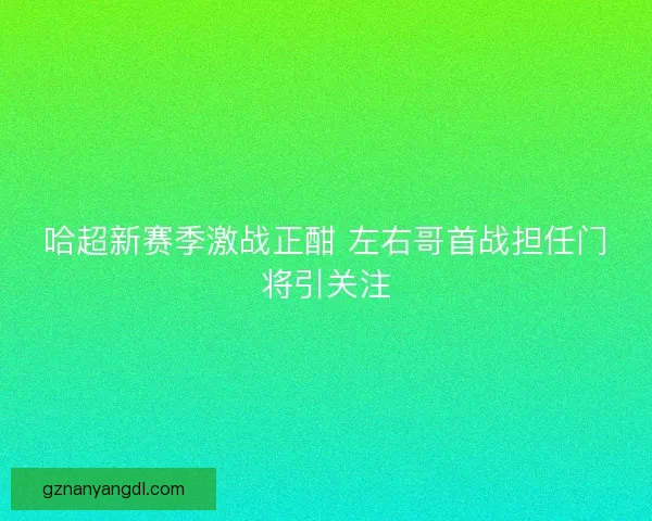 哈超新赛季激战正酣 左右哥首战担任门将引关注