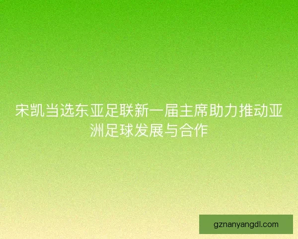 宋凯当选东亚足联新一届主席助力推动亚洲足球发展与合作 宋凯当选东亚足联新一届主席助力推动亚洲足球发展与合作