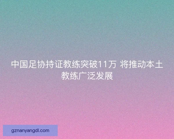 中国足协持证教练突破11万 将推动本土教练广泛发展