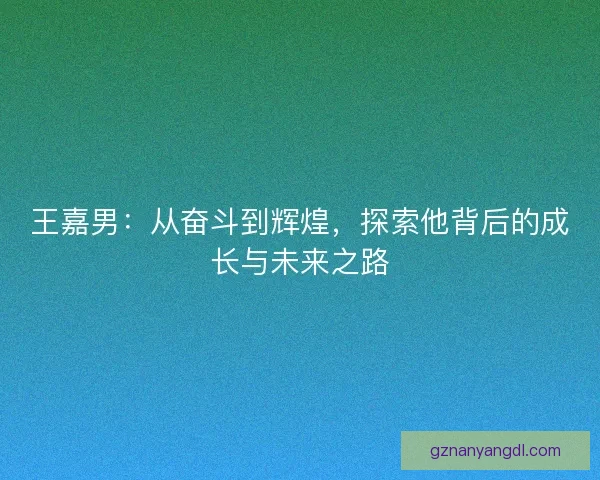 王嘉男：从奋斗到辉煌，探索他背后的成长与未来之路