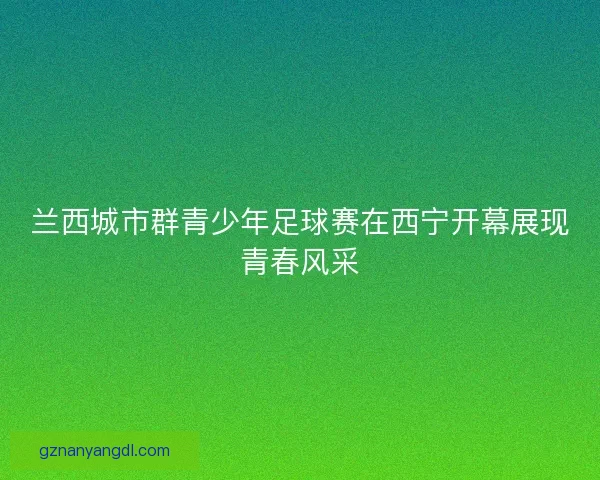 兰西城市群青少年足球赛在西宁开幕展现青春风采 兰西城市群青少年足球赛在西宁开幕展现青春风采